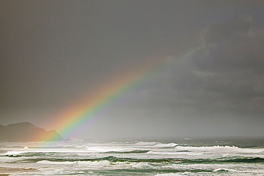 彩虹,上方,海洋,道路,坎贝尔港国家公园,维多利亚,澳大利亚