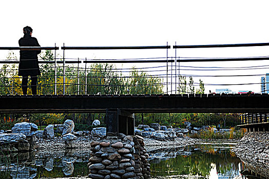 公园中的池塘和桥