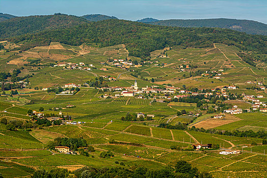 乡村,博若莱葡萄酒,葡萄园,区域,法国,欧洲