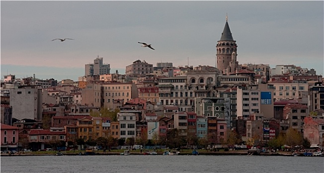 伊斯坦布尔,全景,加拉达塔