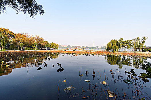 秋日的大明湖公园
