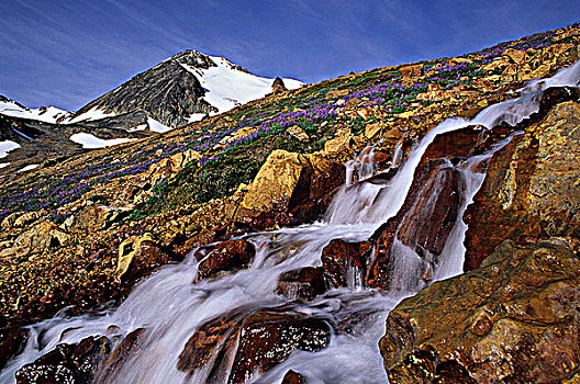 瀑布,大,溪流,省立公园,南,山峦,不列颠哥伦比亚省,加拿大
