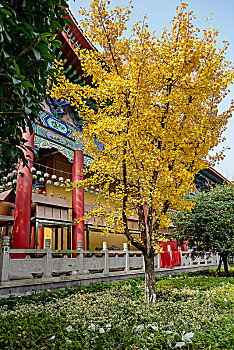 长沙古开福寺