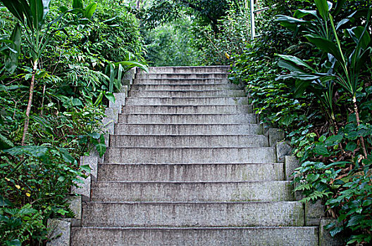 阶梯,道路,楼梯