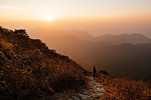 后视图,远足,小路,大屿山,顶峰,香港,中国