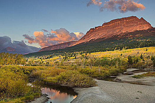 秋色,白杨,树,河,山,冰川国家公园,蒙大拿,美国