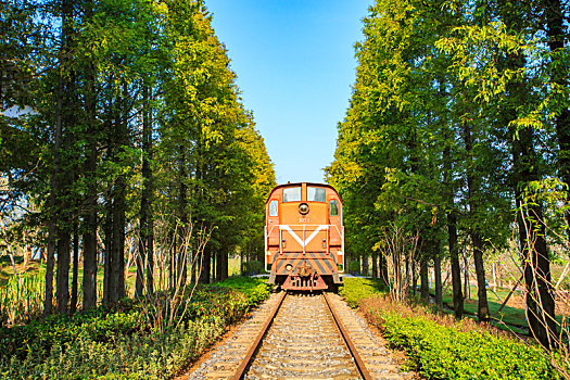 铁轨,小火车,火车,树林