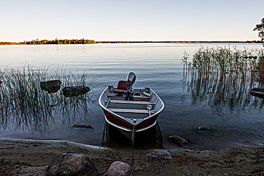 划桨船,湖,木头,安大略省,加拿大