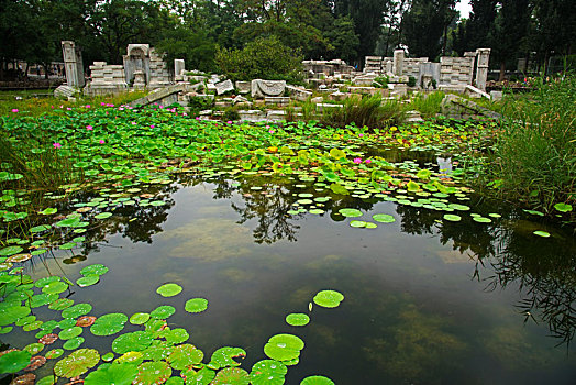 北京圆明园遗址公园