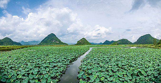 云南省文山州丘北县普者黑景区