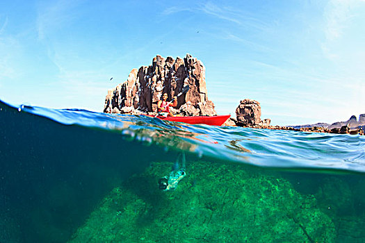 一个人,划船,水,水下,国家,海洋公园,岛屿,靠近,北下加利福尼亚州,墨西哥