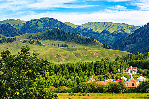 红房子,建筑,山,树林