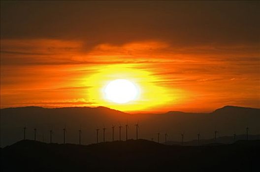 日落,上方,风轮机,农场,纳瓦拉,西班牙