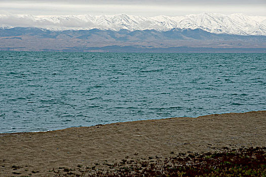 青海湖