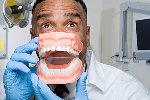 牙医,拿着,假牙