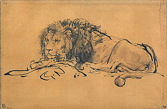 狮子,休息,左边,艺术家,伦勃朗