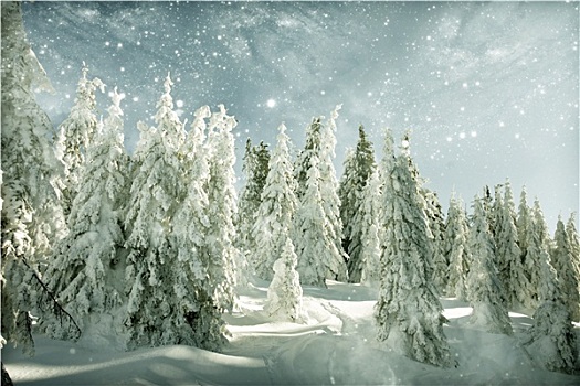 冬季风景,积雪,山,蓝天