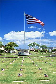 夏威夷,瓦胡岛,公墓,太平洋,大,美国国旗,吹,风,墓穴,独特,旗帜