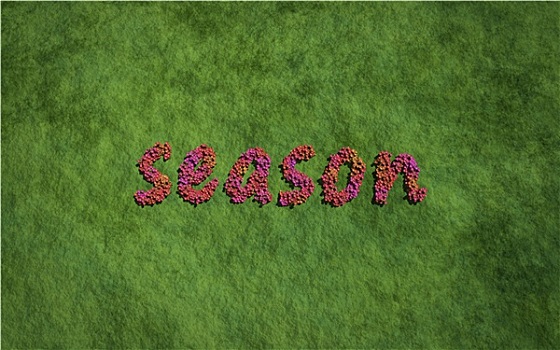 季节,文字,花,草,背景