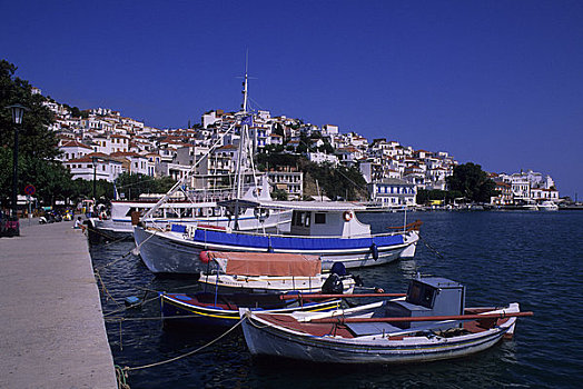 希腊,爱琴海,斯科派洛斯岛,渔船,港口