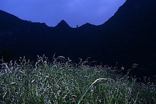 风景