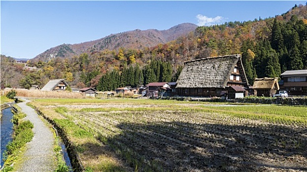 历史,乡村,五箇山