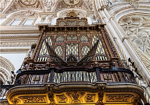 教堂,琴乐器