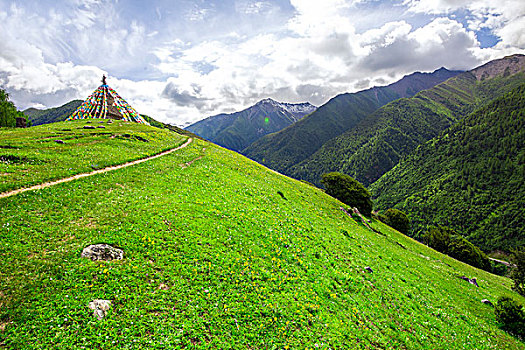 夏天的山野四姑娘山