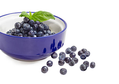 蓝莓甜点,加糖,奶粉,蓝色,碗,甜点,新鲜,蓝莓,装饰,罗勒,细枝,几个,浆果,旁侧,白色背景