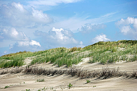 沙丘,北海,海岸