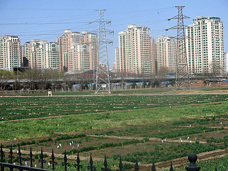 重庆市云阳县的房屋,空置率,居住率