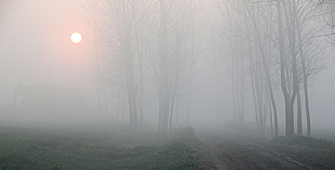 雾中朝阳