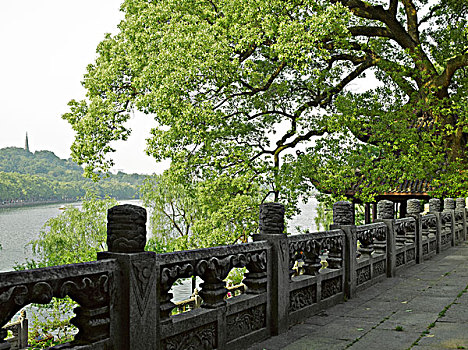 杭州西湖保俶塔