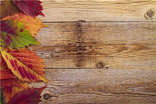 秋天,枫叶,上方,老,木质背景