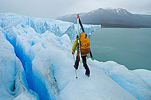 大胆,滑雪者,走,脚趾,莫雷诺冰川,南方,巴塔哥尼亚,阿根廷
