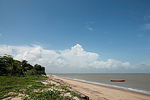 海滩风景,亚马逊,法属圭亚那,南美