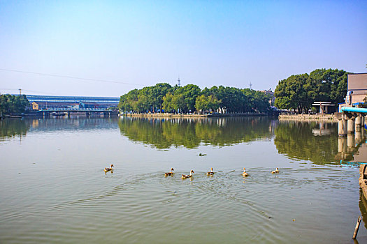 皎碶河村