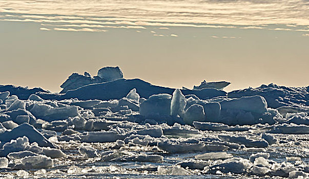 浮冰,边缘,北冰洋,斯匹次卑尔根岛,斯瓦尔巴特群岛,岛屿,挪威,欧洲