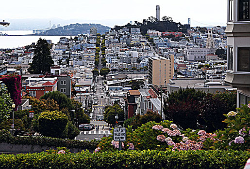 旧金山九曲花街,lombardstreet