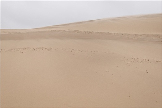 沙子,吹,上方,沙丘