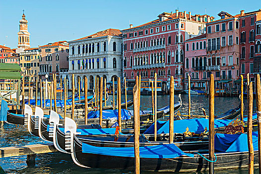 小船,停泊,排列,运河,彩色,建筑,海岸线,威尼斯,意大利