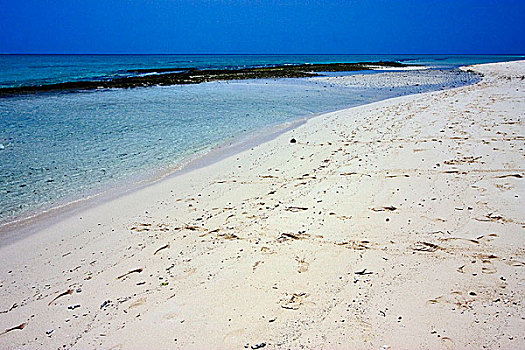 海滩,沙子,堤岸,坦桑尼亚,桑给巴尔岛