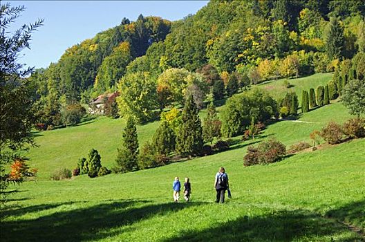 秋季漫步,树园,沃州,瑞士