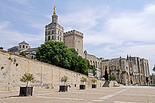 宫殿,大教堂,圣母院,阿维尼翁,普罗旺斯,法国南部,法国,欧洲
