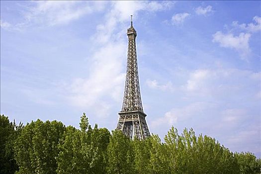 树,正面,塔,埃菲尔铁塔,巴黎,法国