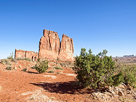 自然,国家公园,犹他,风景,石头,道路