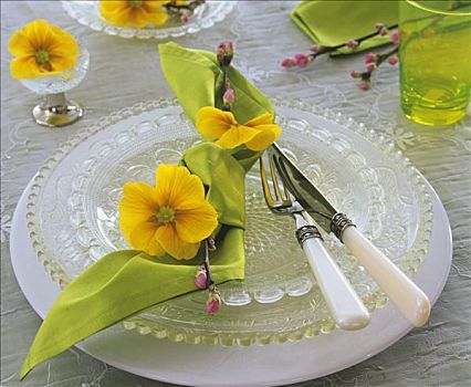 餐巾,樱草属植物,苹果,细枝,玻璃盘