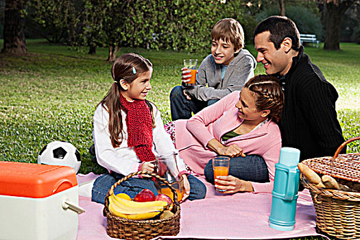 家庭,享受,野餐,公园
