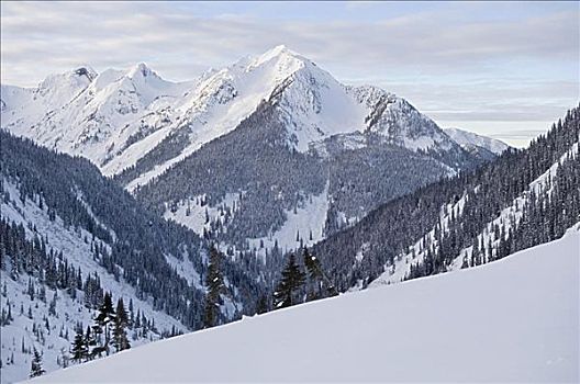 山坡,塞尔扣克山,不列颠哥伦比亚省,加拿大