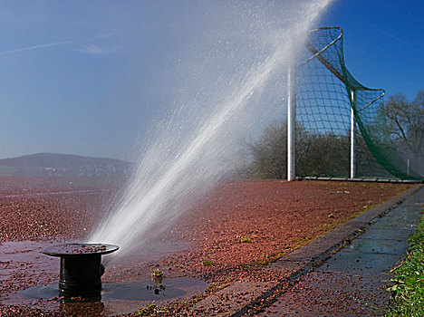 灌溉,足球场,象征,水,浪费,德国,欧洲